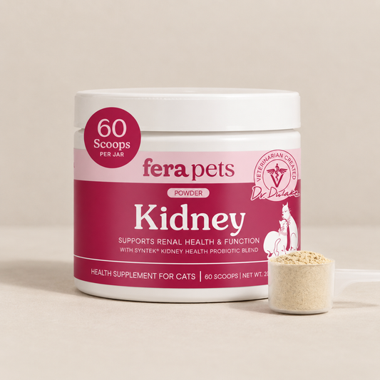 Suplemento en polvo- Kidney.