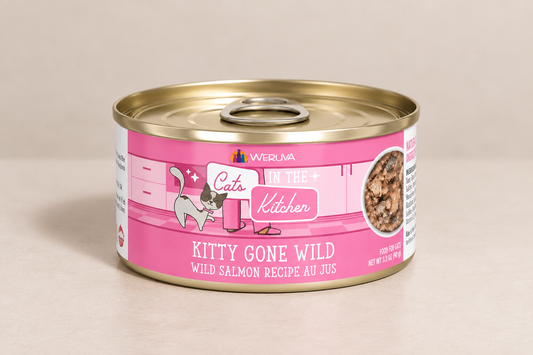 Cats in the kitchen- Kitty gone wild- Salmon.